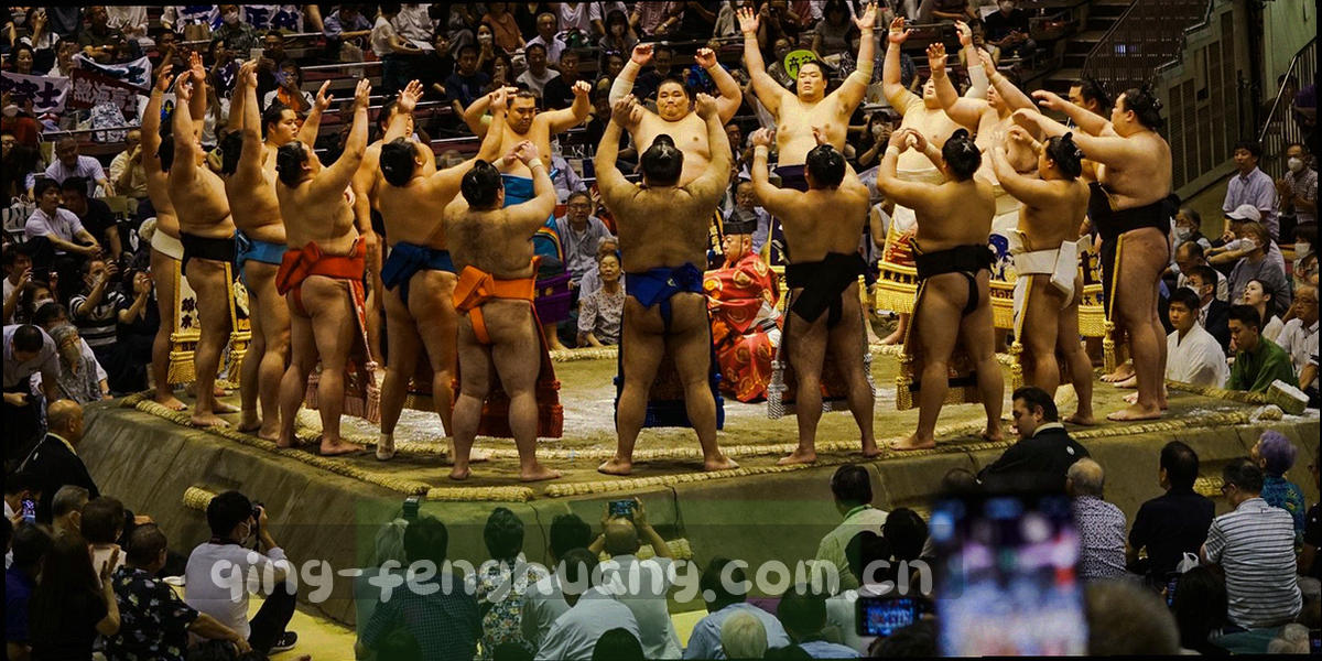 足球数据图表与赛场的抽象合成